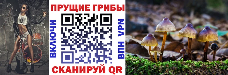 где купить наркотик Кемерово Галлюциногенные грибы прущие грибы
