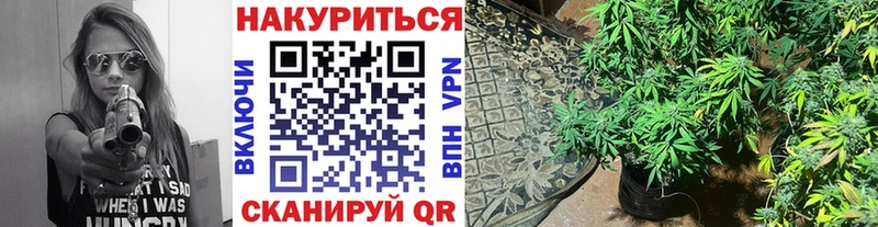 Бошки марихуана OG Kush  Кемерово 